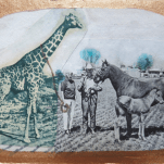 "Pets" technique mixte collage/dessin 10x15cm